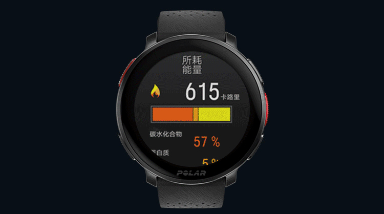 POLAR博能 Vantage V3详情图 49